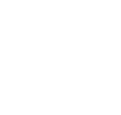 instagram-white